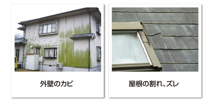 外壁のカビ、屋根の割れ・ズレ