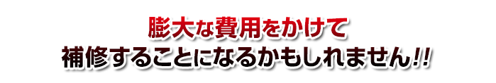 膨大な費用をかけて補修することになるかもしれません!!
